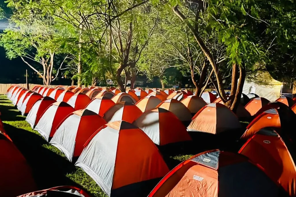 Tents provided at the festival